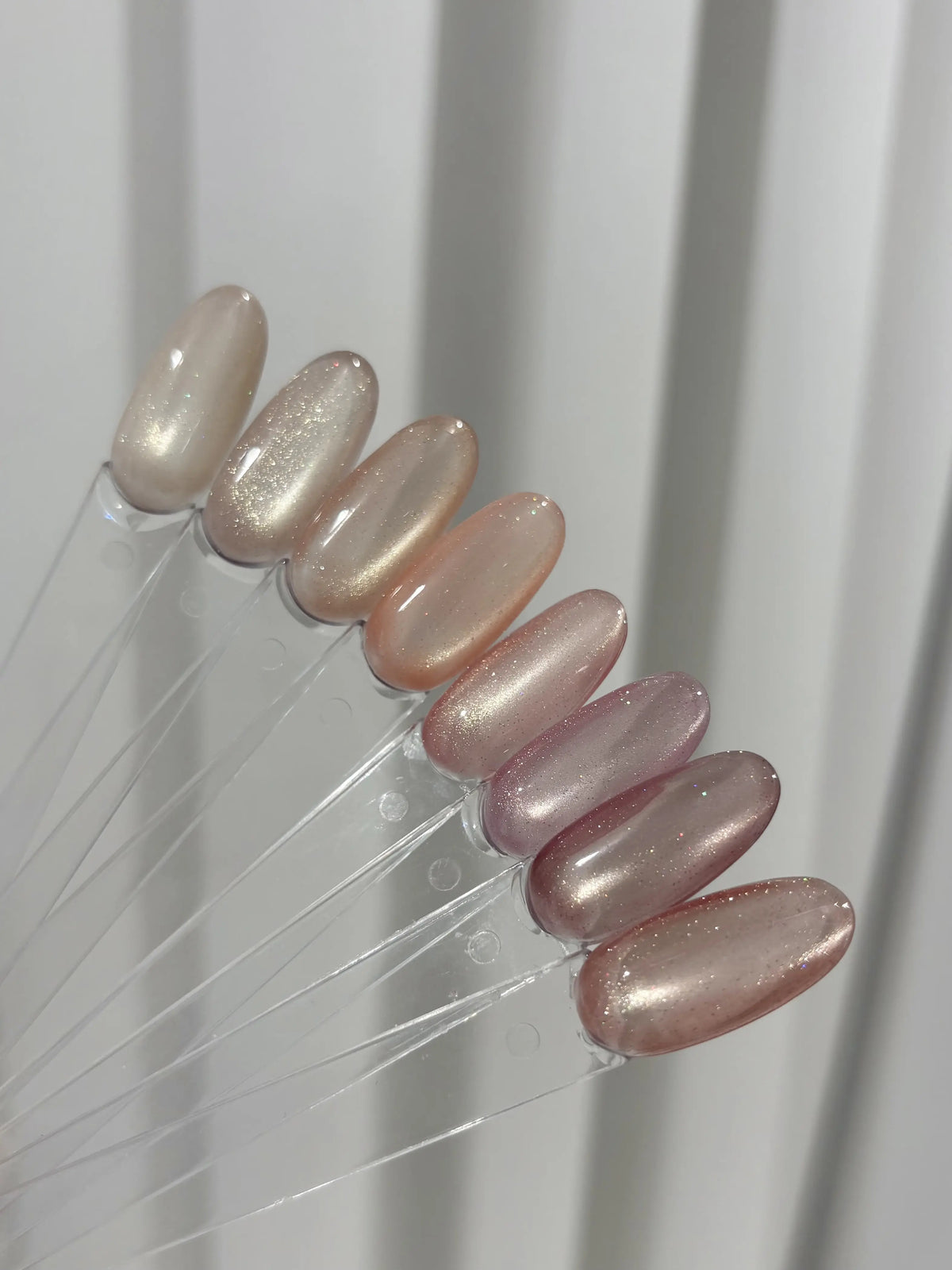 Tint Veil Set